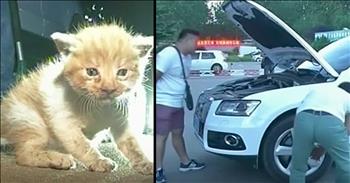While this car owner was on the way to work, she thought she heard a kitten in her car. Once she arrived, she noticed that a mama cat had followed her, so there must be a baby trapped inside her car. The woman called a non-profit organization and they sent help. 

No one was able to see the kitten, so they put the car on a jack. After nearly 2 hours of work, they were finally able to free the poor baby from the car's engine. This teeny kitten was, thankfully, uninjured and happy to be set free. 

I'm so glad that these Good Samaritans were able to save this sweet baby. What an amazing group of people!