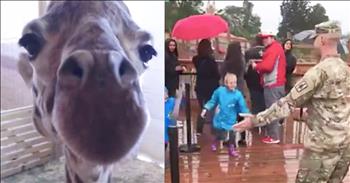 April the Giraffe rose to Internet fame as the world waited for her the arrival of her baby. Now, April is helping out a soldier pull of the sweetest homecoming reunion. 

Sergeant George had been serving overseas for 9 months and now he is finally home. So while his family was visiting the Animal Adventure Park in upstate New York, he disguised himself in a poncho. 

He quietly approached his children and took of the poncho to reveal his true identity. Just look at the reaction from his kids. What a sweet moment for all to witness!
