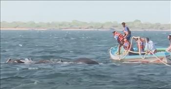 This mighty elephant were helpless when they found themselves stranded in the ocean. Somehow, they drifted out to sea and before they knew it they were gasping for air. These poor creatures could barely keep their trunks above water. 

Thankfully, naval officers quickly spotted the pair of elephants and came to their rescue. These amazing officers were able to tie ropes to the elephants and guide them back to shallow water. Once the elephants were able to feel the ground again, they could walk back to shore. 

What an amazing story of how being at the right place at the right time can truly save a life. Praise God that these beautiful creatures are okay!