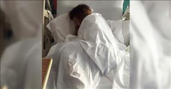 Lost Dog Heals A Sick Girl In The Hospital