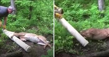 This poor deer was trapped and helpless when her head became stuck in a pipe. That's when a couple in the woods of Quebec, Canada stumbled upon her and knew they needed to help. 

The man tried with all of his strength to pull the pipe off of the deer's head, but it would not come off. His wife continued to encourage him, but it seemed like they might not be able to save her. Together, they knew they couldn't leave this poor animal, so the man decided to comfort her and let her calm down a bit. Then, he started to pull on the pipe again and didn't stop until the deer was finally free. After this terrifying ordeal, she needed a few seconds to gather herself together before she ran off into the woods. 

I'm so glad this couple was there to help this sweet animal in her time of need. There's no telling what might've happened if no one was around. God bless this man and woman!