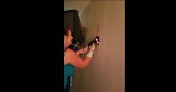 When one family heard strange noises coming from behind their drywall, they had no idea what it could be. But once they heard a series of scratches and meows, they knew that it could be several baby kittens. That's when this family jumped into action to help save these poor felines. 

Usually, stray cats have their kittens in tight, private places to keep them safe so the family assumed that that is how the kittens got behind the drywall. Just watch as they carefully make a hole in the wall and grab a box. One of the ladies put a sock around her hand to protect herself from their tiny claws and begin to reach inside the wall for the kittens.

She carefully scooped out the drywall and insulation and then pulled out one tiny kitten and placed it down by her feet. She kept reaching inside the wall to take the kittens out one by one. The more they moved her hands around inside the wall, the more kittens she found. There were a total of four kittens that were rescued from inside the drywall. Thank goodness this kind family got them out just in time.