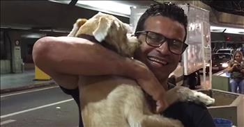 There's truly nothing like the bond between an animal and their owner. Even after years apart, some dogs can still remember their human.

This pup has only been apart from his owner for 10 days, but I'm sure that felt like a lifetime. So when a friend went to pick up the owner at the airport, he decided to bring the furry companion along for the ride. Just watch as the excited dog waits in the truck while his human gets off the plane. 

Finally, he stops his best friend and jumps clear out the window to run to him. I love how they embrace and he picks this little guy right up. There is so much happiness and love in this reunion and I'm grinning from ear to ear right now. Has your furbaby ever done anything like this?