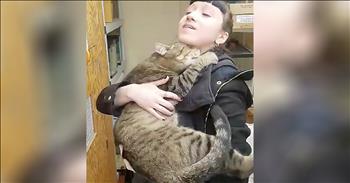 Big Cat Just Wants To Snuggle