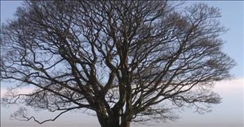 'To God Be The Glory' Classic Hymn