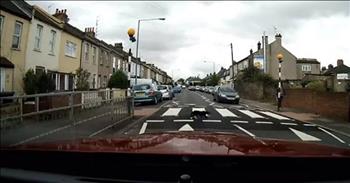 Genius Cat Uses Crosswalk In Traffic