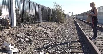 When the kind people at Hope For Paws received a call about a dog living on the railroad tracks, they immediately sought to bring the pup in. This is an extremely dangerous living situation and they wanted to make sure the dog was safe. 

At first, they tried to lure her with food, but that didn't work. As time went on, the dog became more and more anxious and it was harder to bring her in. Finally, they were able to get her into a humane trap but this scared dog bit through the snare pole trying to escape and it caused lots of bleeding. They were able to bring this dog in to safety and give her the love and care that she truly needed. 

Tweedy, as they named her, suffered from a number of ailments and needed surgery. But now, Tweedy is living in a foster home and getting tons of attention and love. What a drastic difference. I'm so thankful for the amazing rescuers at Hope For Paws. 