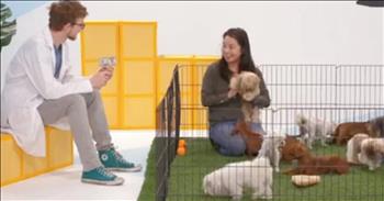 Generosity is one of the most important attributes we can possess. And that's exactly what this organization set out to showcase. A philanthropic organization wanted to do a study on kindness and generosity and they used money and puppies to do it. 

The objective was to see what encourages people to be generous to one another. And I must say, this was the most adorable way to teach this lesson. There was a room with a pin full of puppies that were made available for people to play with. Individual groups of people were invited to cuddle and play with the puppies for 5 minutes. As soon as the door was opened for them to come in, everyone was so excited to jump in the pin. The puppies were so cute and fluffy! 

When their 5 minutes were up, a facilitator explained that in addition to what they were already being compensated for, they had an opportunity to keep an additional $50 or let someone else come in and play with the puppies for 5 minutes also. He explained that the people before them had the same offer, but that person chose to leave the $50 so that someone else can play with the puppies. 

Some people quickly passed on the $50. Others hesitated but 24 out of 25 of the people gave the fifty dollars back. The puppies gave them so much joy and happiness. They wanted others to share in the joy of playing with the puppies. What a powerful study.