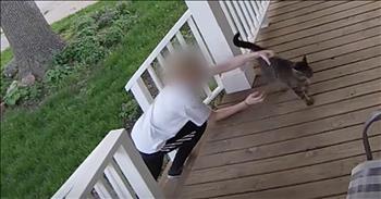 Smart Cat Escapes Attempted Kidnapping