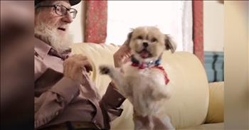 When Mandy Looney first met Louis, he had been abandoned and picked up by the animal and cruelty division. Louis' fur was matted and he had to be shaved down and cleaned up. 

It was obvious that he had some behavioral issues, but Mandy thought that Louis would be a perfect match for her dad. Mandy's dad suffers from dementia, but he fell in love with Louis. Even with the abuse Louis endured, he will climb right up in this man's lap and they will cuddle. 

Every afternoon, Mandy's dad will start to get agitated but now all she has to do is put Louis in his arms and he will calm down. These two have formed a beautiful bond and it's obvious they love each other very much. 

I just love how these two unlikely friends can give one another comfort when they need it the most. What a perfect addition to the family!