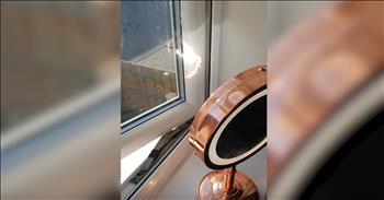 25-year-old Rebecca Thompson was stunned when she captured this frightening footage of her makeup mirror. Rebecca lives in the UK and during the summer, the temperatures can get super high. This data and planning consultant had just woken up one Sunday morning when she went to the bathroom to take a quick shower. 

After she returned to the bedroom, Rebecca noticed a funny smell that had overtaken the room. That’s when she drew back the curtains and found her makeup mirror right next to the window. 

Just in that short amount of time, the makeup mirror had started to burn the plastic of her window frame. Rebecca had left her window open and the direct sunlight had caused the mirror to heat up to a dangerous temperature. 

Just watch the footage that shows the makeup mirror begin to burn the window and smoke within just a few seconds. This could’ve ended up so differently for Rebecca, so now she’s warning others of the dangers of a potential house fire as the temperatures get warmer. 

I’m stunned at how quickly the burning starts to take place and just how scary of a situation this can become. We all love the fresh air, but it’s so important to be aware of our surroundings and make sure that our homes are safe from potential fires. 

Has anyone ever experienced anything like this in your own home? Even though this is a good reminder, I sure hope we don’t see any more videos like this anytime soon. 