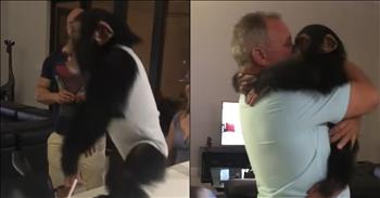 Chimp Leaps Into Former Caretakers Arms After Months Apart