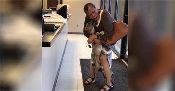 Missing Dog Does Dances After Being Reunited With Owner