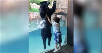 Boy And Bear Have Jumping Contest At The Zoo