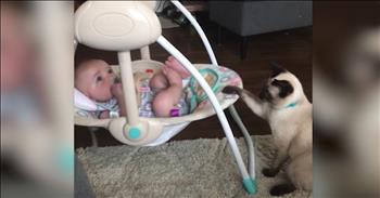 Caring Cat Helps Rock Baby In The Swing