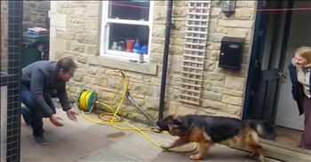 Dog And Owner Reunite After Months Apart