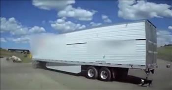 A volunteer police officer in Arizona is being hailed a hero after noticing something out of the ordinary and springing into action. As he was pulling out of a gas station, this “VIP”Officer (Volunteer in Protection) noticed a moving tractor trailer had obviously forgotten some precious cargo.

As the volunteer police officer ended his break, his first task back on duty was one he will never forget. A big rig truck was pulling out of the gas station with a dog still leashed to it’s back bumper! The 19-week-old puppy was desperately running trying to keep up with it’s owner. Without hesitating, this officer began to blow the horn in hopes of getting the drivers attention. When that didn’t work right away, he turned on his sirens and lights.

The entire incident was captured on VIP Steve Edgar’s dash camera. According to the local officials, "Patrol VIPs act only as eyes and ears when they are in the field, but this exception to use lights and siren to save this dog from injury or death has been deemed warranted by YCSO Command Staff." If this wasn’t a good reason to use lights and sirens, we don’t know what is! This quick thinking VIP saved the canine from being accidentally killed.

When the tractor trailer pulled over, the officer found a very grateful and worried driver.  This was deemed a complete accident and no charges are being faced. We are sure that the driver is immensely grateful to this helpful volunteer police officer for his determination to help! The little puppy is fine and probably received some extra love and treats from his owner! 