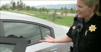 Usually it’s very difficult to get something past our sharp-witted officers of the law. This Sheriff Deputy gets a life changing surprise during what she thinks is a routine stop  that has her boyfriend behind the wheel.

Christy Odum has been a deputy for over 14yrs in Denver’s Douglas County. She was approached by the local news station to participate in a ride along for what she thought was a feature piece on women in law enforcement. Christy’s family is very unique in that her mom and both sisters are also in law enforcement. Little did she know her boyfriend had an elaborate plan already in motion.

As the news crew recorded and interviewed Odum during the ride along, a call came in about a disabled vehicle. That vehicle was a rental car that included Deputy Odum’s boyfriend pretending to be a stranded driver. That’s when he surprised her as she approached the car. It’s our understanding that surprising any law enforcement officer during a traffic stop is usually not the best idea, but thankfully Odum’s boyfriend was instantly recognized as he got out of his car and explain the real reason he was there. 

Grinning ear to ear, Odum still looked shocked at first, asking him “What are you doing here?,”  but she quickly caught on to his well executed plan when he started down on one knee. With news cameras rolling to catch the moment, the not-so-stranded driver assumed the position, pulled out the lovely ring,  and proposed to the love of his life.  Thanks to a great cover story, the sneaky use of an unrecognizable rental car, and the help of the local news team, Deputy Odum got the surprise stop of a lifetime. We wish them both a long and happy marriage full of equally fun surprises. 