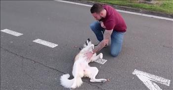 Sean Laidlaw is a soldier who was leading a bomb disposal team while he was stationed in Syria. One day, Sean found a scared, sweet pup amidst the rubble. He named her Barrie and brought her food and water and checked in on her daily.

Barrie was reluctant to accept Sean’s help at first, but after a few days, she finally came around. Over the next few months that Sean was in Syria, he and Barrie grew close. He even made the pup a <a href="https://metro.co.uk/2018/11/07/dog-travels-3000-miles-to-reunite-with-soldier-who-saved-her-life-8115144/">bullet-proof vest </a> so she could be with him during the day.

‘When we got back to camp, she lived in my room, I looked after her, I was responsible for her. She slept in my room, I was training her, I was feeding her. ‘She stayed with me every day all day. She did jobs with me, I’d wake up, she’d come eat with me, she’d then sit in the passenger seat of my car when we drove to Raqqa.’ Sean told the <a href="https://metro.co.uk/2018/11/07/dog-travels-3000-miles-to-reunite-with-soldier-who-saved-her-life-8115144/">Metro</a>.
 
Then Sean learned he’d be going home. While he was obviously excited, he was sad to leave Barrie behind! So he called an organization in Iraq who specialized in rescuing dogs from war-torn areas. Then he started raising money to bring his dog home!
 
The organization was able to get the dog to Iraq, and flew her to Jordan, and then Paris. Each stop along the way, Barrie had to be quarantined to make sure she was healthy enough to leave that country! By the time Sean was able to meet Barrie, seven long months had passed.
 
Sean drove 12 hours from his home in the UK to go to Paris to pick Barrie up and finally bring her home!
 
So then, after five countries, two war zones and more than 3,000 miles, the two were finally reunited for what Sean describes as his “happiest moment ever.”
 
Is there anything better than the unconditional love of a sweet pup?