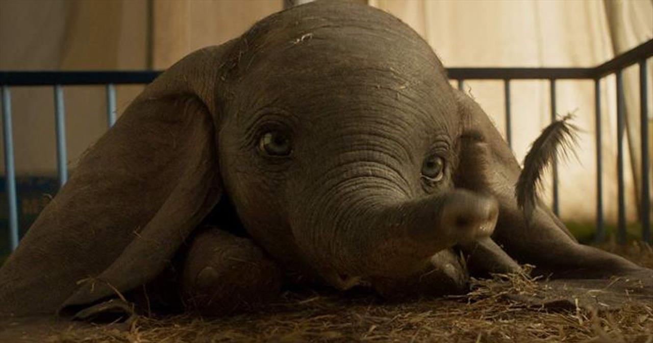 dumbo movie trailer