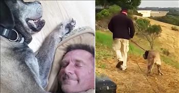 After spending 3 years trying to rescue a stray dog, this kind woman finally succeeded. Kristine Mills Munir was walking her own dog in a canyon in Northern California when she spotted a ‘gigantic creature.’ After she got a closer look, she realized it was actually an abandoned English Mastiff. 

From that moment on, Kristine would leave food for the stray dog every morning and every evening. This went on for three years. During this time, Kristine tried everything she could to rescue the dog but, “She was just too smart. She just did not want to be captured.” She told everyone she met about the impossible dog, that she named Lulu, until finally a friend introduced her to Matthew Daughters. 

Daughters has years of experience rescuing dogs and as soon as he spotted Lulu he said, “I’m getting this dog if it’s the last thing I do.” And that’s exactly what happened. After endless mornings of feeding Lulu and letting her learn to trust him, Matthew was finally able to rescue the English Mastiff. Once she learned that Kristine and Matthew were friends, Lulu’s demeanor completely changed. 

“She was completely willing to receive our love and affection. She ate it up, really,” Kristine said. Now, this deserving dog is getting her forever home and it’s absolutely heartwarming. It's always a special day when a dog gets their lifelong family and it’s obvious that Lulu is overwhelmed with love. I’m sure she’s going to be so happy with her new friends and family. 