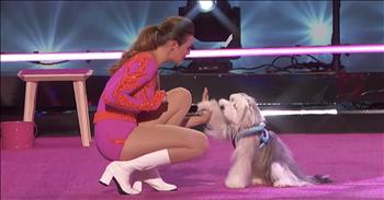 Talented dog trainer Ashleigh returns to the stage with a new puppy after losing her beloved Pudsey. Ashleigh and Pudsey made waves all across the world after winning the sixth season of Britain’s Got Talent in 2012. 

After that moment, it was a world wind of tours, books, movies and TV shows. Everyone fell in love with Pudsey, including Simon Cowell who remarked, “This is what I have been waiting for all my life” after their first audition. About a year after their big win, Ashleigh welcomed another dog into the mix. Sully learned from Pudsey and they grew to love each other. Sadly, in July 2017, Pudsey passed away after a battle with cancer. 

Now, Ashleigh is returning to the stage as a competitor on ‘America's Got Talent: The Champions’ and she is introducing the world to her newest sidekick, Sully. This special format features 50 contestants who have won or been featured on previous editions of the show. 

These competitors come from all over the world and now they’re all vying for the ultimate winner’s title. Ashleigh and Pudsey were one of the most well known acts from the Got Talent world. 

Now, it’s time for Sully to shine and showcase all his skills. After the adorable performance, judge Howie Mandel said, “I’ve never seen a dog that seemed more happy to be more, more happy to entertain us than Sully. We just want to smile.” I have to agree. Sully looks right at home on stage and I cannot wait to see what they come up with next.