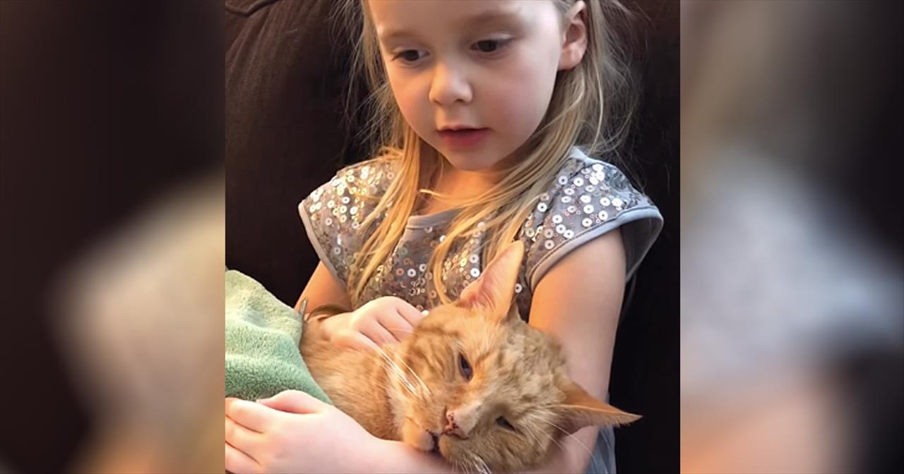Toddler Sings 'You Are My Sunshine' To Dying Cat