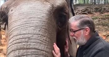 This sweet video shows how an elephant still remembers her old trainer from 35 years ago. What a special sight to see!
 
The former zookeeper, Peter Adamson, has wonderful memories from the time when he took care of Kristy the Asian elephant at a zoo in Scotland. From feeding, to washing, to training, these two spent many hours throughout the years bonding. Even though that was back in the early ‘70s and ‘80s, Kristy still remembers those good times with Peter as well.
 
“Do I smell the same?” Peter asks Kristy this question as he blows into her truck and she leans into him. The pair look so adorable cuddling up next to each other, almost like no time has passed between them.
 
While Peter was staying with some friends in Germany, he found out that Kristy was still alive and well and had been transferred to Neunkircher Zoo. Since the zoo was just a short distance from where he was visiting, he knew he had to make an effort to reunite with his old elephant friend.
 
It’s remarkable that Kristy was still alive and in good health, because she had reached 52 years in age. The typical life expectancy for Asian elephants is 48 years old. The number of Asian elephants has unfortunately “plummeted by at least 50% in the past three generations” because of habitat loss and poaching. Thanks to kind caretakers like Peter, we can hopefully see that the remaining Asian elephant population in zoos will continue to thrive and grow.
 
After Peter contacted the Neunkircher Zoo, the employees there were able to arrange a special reunion for Kristy and her former trainer while Peter was in Germany. How wonderful that these two were able to reconnect after all these years and rekindle the bond that they have
