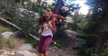 During a difficult hike last summer, a woman found a wounded dog while she was climbing and decided to carry him down the mountain to save his life. She carried this dog on her shoulders for over 6 hours! What an incredible, selfless act to save this precious animal.
 
Tia and 76-year-old her father had already been hiking for three hours last summer and made it to the top of the mountain. While they were climbing down, they crossed paths with an injured dog whose owners were nowhere in sight.
 
“He was pretty beat up,” Tia said. “He couldn’t walk.”
 
She knew that he wouldn’t be able to make it down the treacherous mountain in the shape he was in, so she picked up the 55-pound Springer Spaniel, placed him on her shoulders, and made the descent down the mountain. The hike ended up being 6 miles and took her 6.5 hours to get to the bottom.
 
“We had to hike through snow, we lost the trail at one point,” explains Tia. “It was one of the hardest things that I have done in my life.”
 
At one point during the hike, her father took a picture of her laying down for a break with the dog sitting on her. The weight of the dog with the difficulty of the hike had her almost in tears, and Tia explains how she had to turn to prayer to get through the rest of the hike after her break.
 
“I got underneath him to pick him up to go again, and again felt the tears coming. I said a little prayer at that point, because the weight was hurting my neck, I had a really bad headache, my legs just felt like they were going to crumble at any moment,” Tia shares. “As I said that prayer, I literally felt the weight lift off of my shoulders and I thought ‘Ok, there must be a lost hiker that’s behind me helping me. So, I turned around, probably five or six times, looking for someone. There was nobody there. At that point I knew that divine intervention was happening. I was getting help.”
 
Once she got to the bottom of the mountain, she saw a note about the lost dog, whose name was Boomer. After calling the owners, Tia found out that they had unleashed Boomer while they were hiking, and he had run onto a snow-covered crevasse and slipped off. He had fallen from a one-hundred-foot cliff! Thankfully, only his front paw was badly injured, and an upcoming surgery will hopefully have him using that paw again.
 
Because Boomer’s original owners were moving to Arizona, they had already planned to give him to someone else. But Tia was hoping for another outcome.
 
“It pulled at my heartstrings all night long. When I woke up the next day, my first thought was ‘That dog’s supposed to me mine,’” explains Tia.
 
So, she messaged the owners and explained how much she had bonded with Boomer on the mountain and would really like to keep him. The owners agreed, and now Tia and Boomer are together. She rescued him in his time of need on the mountain, and now she’s nursing him back to health after his accident, in the safety of his new home.
 
