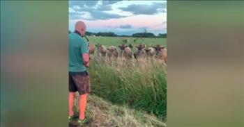 It is not every day that you see a musician play his saxophone for cows in a field! But that’s exactly what Rick Hermann did when he decided to put on a jazz concert for the cows in his area.
 
The idea came to him when he was out for a run with his wife.
 
“You see these cows, and they always seem to be so curious,” says Rick. “I asked my wife ‘Do you think the cows will enjoy the saxophone?’ She’s like, ‘Let’s go try it.’”
 
Later, Rick and his family take a walk over to the cows in the field, and Rick starts playing some songs for them on his saxophone.
 
As soon as the jazzy music starts, the cows are immediately interested! They slowly walk over to where Rick is to take in the sounds that he is playing.
 
He plays the cows Stevie Wonder’s "Isn't She Lovely," George Michael's "Careless Whisper," and The Champs' "Tequila." What a fun bunch of songs that I’m sure the cows enjoyed!
 
Rick’s daughter, Erin, filmed the cow concert and posted the video to Twitter. The video garnered lots of positive attention from people online.  
 
“A lot of people have said that they were having a really hard day or that just so many bad things were happening, and this was just a little bit of positivity or boosted their moods,” shares Erin.
 
It’s great to see a family be playful and have a good time trying out new things together, like playing your saxophone to a bunch of cows! Rick shares that it is great to learn a new skill, try new things, and challenge yourself. Because you never know, something that you try may bring a smile to the faces of a whole lot of people (and cows)!

