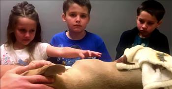 One family is mourning the loss of their beloved pit bull after he gave his life to save a young boy. God truly knew what He was doing when He placed dogs on this earth. 

These furry friends that ultimately become our pets definitely hold a very special place in our hearts. They become a part of our family and it’s always a heartwarming relationship to witness. 

Dogs are known for being loyal and giving us unconditional love. And sometimes, that love goes beyond anything we could ever imagine. 

Georgina Richardson recalled the moment that her 8-month-old dog, Zeus, made a courageous sacrifice. 10-year-old Oriley was playing outside of his house while Zeus watched over him. 

That’s when Zeus leapt into action and jumped in front of Oriley. The boy thought that the dog was just playing with a rope on the ground, but when Zeus rolled over, the scary truth was revealed. "Zeus just started to roll over and as he rolled over I could see that the snake was dead." 

Zeus had wrestled with, and killed, a deadly coral snake. Next to the black mamba, this is the most venomous snake on earth. During the scuffle, Zeus was bitten multiple times. 

Georgina loaded Zeus into the car and rushed to find a veterinary hospital that could help save this heroic dog. Sadly, Zeus passed away from his injuries but Oriley remained unharmed. 

Georgina commented on Zeus’ ultimate sacrifice saying, "Had it not been for him, my son might not be here right now.”