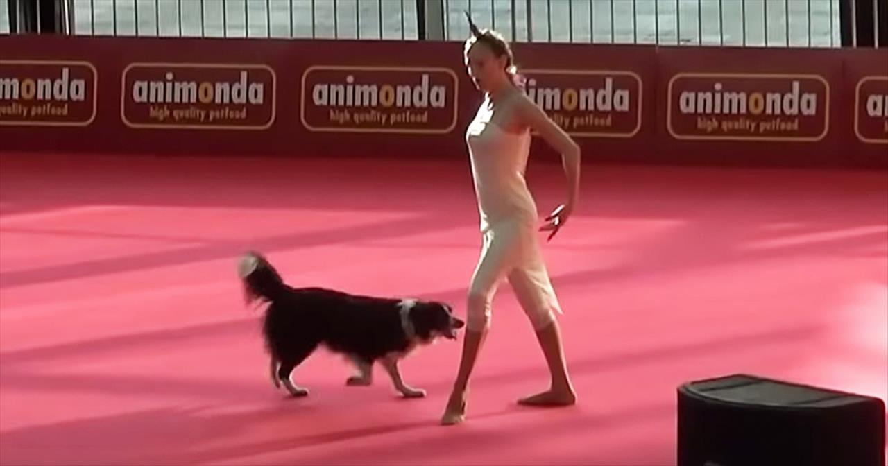 Dog Performs Synchronized Dance Routine With Owner