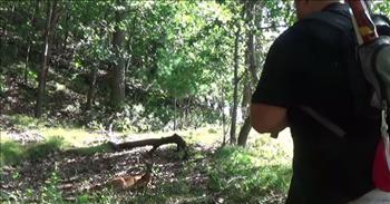 In this captivating video, a deer in the forest is mesmerized by a man playing the flute.
 
At the start of the video, a talented man is playing soothing music on his flute, and it looks like the deer is just lying there enjoying his peaceful melody. When the camera zooms in on the deer, she doesn’t seem to be alarmed at all, just content to stay right there and keep on listening.
 
The musician starts to get bold as he takes a few steps closer to the deer. Her reaction remains the same – calm, cool, and collected. As he continues to step closer, the deer still doesn’t move. What a surprising sight!
 
When he finishes playing his song, the deer gets up slowly, stretches her legs, and gracefully walks away into the woods.
 
“She forgot to leave a tip,” the musician jokingly says as his friend who is filming him laughs.
 
The musician, who is from Eau Claire, Wisconsin, recounts that day when he met that curious deer in the forest. "On my way back from recording music in the woods for my YouTube channel Paul Harvey flute guy, I came across a wild deer. Naturally, I took out my native American flute and started to play. The deer sat down and listened for almost eight minutes. I was able to get close to the deer before it finally stood up, stretched and then slowly trotted away. Definitely not something one gets to see every day! My heart was pumping! I was so glad I was able to capture the experience."
 
It's almost something out of a fairytale! Where a character will sing or play an instrument and all the woodland creatures will gather around to enjoy the music. This is one encounter that this man will not forget! 
