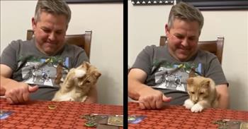 This curious cat is stunned when owner spins a coin, and I can’t hand the cuteness!

The little orange kitty can’t believe her eyes. This is some type of magic! No way that coin can just keep spinning!

While sitting in her dad’s lap, she’s introduced to a neat party trick. Her dad takes some type of board game coin and spins it on its edge right in front of her. She has her paw up as if she’s about to whack it but then covers her face.

“Dad?! What is this sorcery?!” - the cat, probably

Animals’ reactions to new and foreign objects is almost always amusing. This reminds me of the videos of cats reacting to cucumbers!

Dad takes the coin and spins it again. The goofy kitty almost covers her eyes in complete shock. But the next time he spins the coin, the cat seems a little more comfortable -- more interested instead of scared.

She lifts her paw to her nose instead of covering her eyes. What’s she going to do the next time that evil coin starts dancing?!

The dad spins it again. It looks as if shes going to lift her paw to cover her face… but then she attacks! Both paws on top of that coin! She got it! We are all so proud of you, you precious creature!

She then pulls it closer to the edge and attempts to bite it or pick it up. What a goofball!

This is definitely one of those videos that you can’t help but play over and over again. The reactions are just too weird and too cute to get over after watching it just once.

And God made the beast of the earth after his kind, and cattle after their kind, and every thing that creepeth upon the earth after his kind: and God saw that it was good. <a href="http://godtube.com/bible/genesis/1">Genesis 1:25</a>
