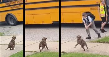 Every day, this puppy waits by the road for her human to get off the school bus, and I don’t think I’ve seen a cuter friendship!

Two of the sweetest beings on the planet almost always have the most precious friendships — a puppy and a kid of course! They’re both gentle and playful in the cutest ways and make the best playmates. Especially when they get to grow up together!

The puppy in this video, which seems like a Boxer mix, clearly hasn’t been with her new family for too long yet. But she and her little human already have an unbreakable bond!

In the clip, you can see that the puppy already knows the school bus is coming and sits on the sidewalk in front of her house. When the bus pulls up to stop, she can’t hold in her excitement and moves to a spot on the driveway. She can hardly sit still!

The moment the bus doors open, the playful pup simply can’t wait any longer and starts hopping around while wagging her tail. Although she would probably be happy to greet anyone, she knows that her boy gets off after the crossing guard. You can see her almost ignoring the guard and looking for him! Adorable!

Like the good girl she already is, she pounces around at a safe distance from the road even after the boy steps off the bus. But the moment he touches the ground, he runs toward her bending down and clapping. They’re both so excited to see each other after a long day of school!

Just imagine the little boy’s excitement to see his little buddy waiting there for him every day. He has a best friend that will definitely love him unconditionally. Puppies and children are such a blessing — no purer friendship exists!

Who teaches us more than the beasts of the earth, and makes us wiser than the fowls of heaven? <a href="http://godtube.com/bible/job/35-11">John 35:11</a> 