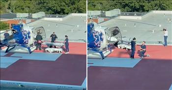 This is one of the most incredible proposals that you will ever see. Cameras capture ER nurses getting engaged after an epic proposal on a hospital helipad. 

The nurse walks with a stretcher going to the helicopter on the landing pad. She is prepared to help a patient. Little does she know that her boyfriend is in the helicopter. 

Her boyfriend, who is also a nurse, gets out of the other side of the helicopter and drops to one knee proposing to the girl. She says yes and gives him a good kiss. She jumps into his arms and the couple embraces. The crowd behind the camera cheers and celebrates. 

This video is a grand gesture of love. When we watch this, we are excited about the joy in this young couple. We feel excited for them and their romance just by viewing. We celebrate their proposal moment and their love. 

Maybe you have always dreamed of having a huge act of love on your behalf? We must all remember that Jesus died on the cross for us as the greatest gesture of love there has ever been and ever will be. 

This helicopter proposal reminds us of the even grander love of our Lord and Savior. He came to us and died and rose on our behalf out of His Perfect Love. 

“This is how God showed his love among us: He sent his one and only Son into the world that we might live through him. This is love: not that we loved God, but that he loved us and sent his Son as an atoning sacrifice for our sins.” <a href="https://www.godtube.com/bible/1-john/4-9">1 John  4:9-10</a>
