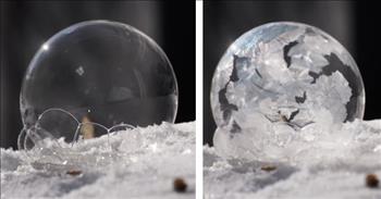 Want to be amazed? Watch this mesmerizing time-lapse that shows a bubble freezing only seconds after forming!

We have probably all seen cartoons where stuff freezes immediately in super cold weather. So it’s kind of a bummer when that doesn’t happen in real life. Or anything close to it.

But this video may be the satisfaction that we all need, and I promise it’s more amazing than you could imagine!

With a straw and soapy liquid, Heather Hinam, a science teacher in Canada, blows a bubble onto some snow. For just a split second you think, “Cool...a bubble?” Then, the magic begins.

The see-through soap ball starts crystalizing right in front of your eyes! It looks too beautiful to be real! And technically natural!

Although the ice crystals are natural, you may not find a concoction like this in the wild. Heather found the little experiment on Instagram and mixed warm water, dish soap, corn syrup, and sugar. And apparently, a bunch of science happens and BAM! Crystalized bubble.

Obviously, this is on a cold winter day, much below freezing. So don’t think you can run outside to recreate it as soon as you see snow falling. I will definitely try it whenever the temperatures drop!

Honestly, I can stop watching this video. I’m simply in awe of the beauty that God has created. The beauty in the tiniest, obscure things like a freezing bubble, to the grandest mountains and valleys. Try to admire the beauty of His creations every single day!

For by him were all things created, that are in heaven, and that are in earth, visible and invisible, whether they be thrones, or dominions, or principalities, or powers: all things were created by him, and for him: And he is before all things, and by him all things consist. <a href="https://www.godtube.com/bible/colossians/1">Colossians 1:16-17</a>
