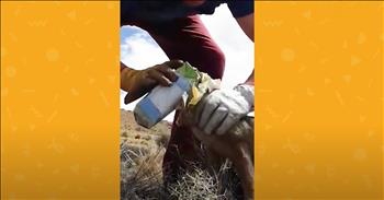 Argentina is one sweet creature ahead when this good samaritan saves a fox with a box stuck on its head!

Occasionally, we see images or videos of wildlife, birds, or fish that have gotten into trouble due to the actions or existence of humans in their environment. Here is one such story. 

Watch as the fox runs around in circles, colliding at times with a clump of brush in his path. He can’t see, because his neck and head have become trapped inside a milk carton that was evidently left laying on the ground. There is no indication of how long he’s been in this predicament, but the little guy’s desert home doesn’t look particularly friendly. It’s sure that he wouldn’t survive long with his head lodged in a box.  

Luckily, a savior discovers the fox in distress in time. Watch as the gentleman approaches the scared fox. He is prepared with gloves, but there may still be risks involved in this rescue. The man secures the fox in his hands and eases him to the ground where he can more easily loosen the box. Once in position, he gently tears the cardboard and works the box free. The fox seems a little stunned for a moment but is quickly ready to be on the move. 

He’s not quite in the clear yet, though. There are still box remnants around the fox’s neck. Our hero again delicately pulls the paper away from the squirming animal. Now, the mission is complete, and Mr. Fox can be on his way! 

We people often don’t do the right thing. Sometimes, it’s out of ignorance or a lack of consideration. Sometimes, it is an act of just plain meanness. However, we people sometimes make things right. This kind man corrected a problem caused by another. He literally cleaned up someone else’s mess!

The foxy fellow who was saved certainly felt amazing, but the champion of this story felt pretty swell, too. He’s pleased with the good deed done, as well he should be! Thanks, sir, for taking the time to do the right thing when it’s so often easier not to! 
 
“Anyone who withholds kindness from a friend forsakes the fear of the Almighty.” <a href="https://www.godtube.com/bible/job/6-14">Job 6:14</a>

