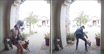 <p>It&rsquo;s just another day in the life of an Amazon delivery driver when she saves a young woman and her dog from a pit bull attack! It&rsquo;s not all holiday deliveries and routine stops for one plucky Amazon employee. Meet Stephanie Lontz in this frightening video!</p>

<p>&nbsp;</p>

<p>Watch as Lauren Ray, a Las Vegas teen, beckons a pit bull visiting in the neighborhood. The dog strolls over and appears friendly until Lauren&rsquo;s dog Max enters the scene. Max has come from inside the home through the door left ajar when Lauren came outside. And, when Max approaches with perhaps play in mind, the pit bull wants none of it!&nbsp;</p>

<p>&nbsp;</p>

<p>A couple of sniffs leads to a full-on assault of Max. Lauren quickly scoops Max up, but the pit bull continues to lunge at Max, now in Lauren&rsquo;s arms. Lauren tries to escape the pit bull&rsquo;s attack, and all the while, Lauren&rsquo;s dad was seeing the event through the Ring Security App as he sped home. Describing the situation like watching a football game on television, Michael Ray drove home in &ldquo;panic mode&rdquo; as he screamed at his daughter to get inside the house.</p>

<p>&nbsp;</p>

<p>Finally, a hero responds to Lauren&rsquo;s screams for help! It isn&rsquo;t a police officer or an EMT. It&rsquo;s Amazon delivery driver Stephanie Lontz, and she is a woman on a mission. Stephanie jumps in front of the menacing pit bull, stopping him from going after Lauren and Max. Stephanie directs the teen to get in the house as she keeps the hateful hound at bay. She&rsquo;s fearless!&nbsp;&nbsp;</p>

<p>&nbsp;</p>

<p>Once Lauren and Max are safely indoors, Stephanie is back to business. She gives the pit bull a parting shot, shouting that he is &ldquo;a bad dog.&rdquo; Then she&rsquo;s on her way! And, the pit bull has gone from a welcomed to a wholly unwanted guest!</p>

<p>&nbsp;</p>

<p>Michael and Lauren thanked Stephanie for her heroism, and that exchange is captured here in the video. Confirming that Max is okay, Stephanie is completely unassuming and genuine. She did share with <em><a href="https://www.yourtango.com/news/video-amazon-worker-pit-bull-save-teen-and-dog">Your Tango</a></em> that being an Amazon driver comes with a fair share of adventures. &quot;Two days prior I had been bit by a dog. Two days before that, I saved a baby who wasn&rsquo;t even two years old yet locked in a house,&rdquo; said Stephanie.&nbsp;</p>

<p>&nbsp;</p>

<p>No doubt, if Stephanie is ever interested in another line of work, she&rsquo;s got several options to choose from. It&rsquo;s safe to assume that she&rsquo;s capable of just about anything!&nbsp;</p>

<p>&nbsp;&nbsp;</p>

<p><em>&ldquo;But the Lord is faithful, and he will strengthen you and protect you from the evil one.&rdquo;<a href="https://www.godtube.com/bible/2-thessalonians/3-3"> 2 Thessalonians 3:3&nbsp;</a></em></p>

<p>&nbsp;</p>
