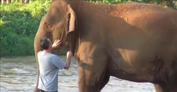 <p>Watch the heartwarming moment when a caretaker reunites with elephants after 14 months of being apart. All animals are such blessings!</p>

<p>What would you do if a herd of elephants started running toward you? They&rsquo;re thousands of pounds so that must be quite stressful for anyone!</p>

<p>Apparently, this sort of situation is exactly what Darrick Thomson has missed.</p>

<p>Darrick and his wife, Sangduen Lek Chailert, co-founded and operate Elephant Nature Park in Thailand. The sanctuary cares for dozens of rescued elephants and also provides a home to hundreds of stray dogs and cats.</p>

<p>After 14 long months of not seeing these lovable giants, Darrick, one of many caretakers, can&rsquo;t wait to reunite with them.</p>

<p>In the clip, Darrick stands in shallow water and calls for a group of elephants upstream. Almost immediately you can hear multiple elephants call back to him. And, of course, just as we carry on full conversations with our fur babies, he responds to the gentle giants.</p>

<p>Once the elephants realize who exactly is calling for them, they seem to pick up the pace. Clearly, they&rsquo;re just as excited to see Darrick again!</p>

<p>As the elephants get closer to one of their favorite humans, they slow down and gently walk up to him like they&rsquo;re aware of their size. They start circling around him one by one waiting their turn to get a hug.</p>

<p>Eventually, you can&rsquo;t even tell that there&rsquo;s a tiny human among the elephants. Darrick, his wife, and everyone else at the sanctuary obviously give these beautiful creatures the love that they deserve, and that kindness gave these elephants a second chance at life.</p>

<p><em>God made the wild animals according to their kinds, the livestock according to their kinds, and all the creatures that move along the ground according to their kinds. And God saw that it was good. <a href="http://godtube.com/bible/genesis/1-25">Genesis 1:25</a></em></p>
