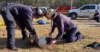 <p>In a recent video that was shared online, firefighters can be seen coming to the rescue of a sweet dog that became stuck in a 15-foot hole.</p>

<p>The firefighters are from Paxton, Florida and are part of the South Walton Fire District. The SWFD posted about the rescue on their Facebook page.</p>

<p>&quot;Once the space was deemed safe to enter, firefighters placed a ladder into the hole and attached our rescuer to a safety line,&quot; the post <a href="https://www.fox13news.com/news/florida-firefighters-rescue-dog-stuck-in-15-foot-hole">read</a>.</p>

<p>&quot;The firefighter descended the ladder and made contact with the dog, who was very friendly, then used webbing to build the dog a safety harness,&quot; the post <a href="https://people.com/pets/florida-firefighters-rescue-very-friendly-dog-trapped-in-15-foot-hole/">continued</a>. &quot;The rescuer ascended the ladder with the dog in tow and the SWFD crew assisted in getting the pair through the small opening.&quot;</p>

<p>In the video, you can hear the firefighters comforting the dog by saying &quot;Come on, girl. Come on, sweetheart!&quot; as they pull her out of the hole. And thanks to the firefighters&rsquo; actions, the sweet dog was rescued without any injuries.</p>

<p>&quot;We are very grateful to have been a part of this happy ending and appreciate the professional and quick work of all responding agencies,&quot; <a href="https://people.com/pets/florida-firefighters-rescue-very-friendly-dog-trapped-in-15-foot-hole/">wrote</a> the SWFD.</p>

<p>After the successful rescue, the Walton County Animal Control came to the scene to tend to the dog. And the Walton County Works also showed up to fill the hole so no other animals or humans could fall into it.</p>

<p>We hope that you enjoyed seeing this animal rescue, and thank goodness for those firefighters and they wonderful way they serve their community!</p>

<p><a href="https://www.godtube.com/bible/isaiah/41-10">Isaiah 41:10</a> Do not fear, for I am with you; do not anxiously look about you, for I am your God. I will strengthen you, surely I will help you, surely I will uphold you with My righteous right hand.</p>
