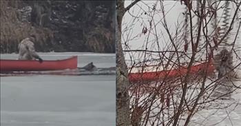 <p>In Grand Fork, British Columbia, a very heroic and kind man is on a canoe trying to rescue a deer who is tragically stuck in the ice-cold water. He has tied a rope around the deer and is paddling the sweet animal to safety.&nbsp;</p>

<p>As he rows, he looks behind him continually to check on the deer. Once he gets closer to shore, the man gets out of his boat and walks to the deer. He begins to grab the deer and push her toward the shore while standing knee-deep in the river.&nbsp;</p>

<p>The deer appears paralyzed by the cold and possibly fear. People onlooking cheer the deer on as the man deals gently with the animal who is in danger.&nbsp;</p>

<p>He pushes the deer but she is stiff, so he lifts her with all of his strength. They are worried about the deer getting hypothermia and making plans to warm her.&nbsp;&nbsp;</p>

<p>This causes me to think about how we too are paralyzed by fear and sin in our own lives. We feel as trapped as this deer in frigid waters with no escape.&nbsp;</p>

<p>The truth is that in our sin, we do not have an escape that we can flee from our sin. We need a Savior, we need rescue. Jesus came to rescue us from the pit of hell and eternal darkness.&nbsp;</p>

<p>When we feel stuck in our Christian walks, we can remember with confidence that we have already been saved from eternal death. We have been made alive in Christ. We do not have to fear the difficulties in this life. We can have the fullness of hope in Him.</p>

<p><em>&quot;For He rescued us from the domain of darkness, and transferred us to the kingdom of His beloved Son,&rdquo; <a href="https://www.godtube.com/bible/Colossians/1-13">Colossians 1:13</a></em></p>
