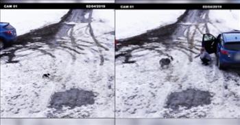 <p>This is a shocking clip of a heroic moment in an everyday driveway. A big dog rescues a puppy seconds before a car nearly hits it.</p>

<p>As a man plays fetch with multiple dogs in his driveway, everything appears alright. The man and his pooches are playful and happy. Then, suddenly, a few moments later, there is a clip of the smallest puppy walking by himself on the snow.&nbsp;</p>

<p>A blue car quickly pulls backward out of the garage and almost hits the puppy. Out of nowhere a heroic move appears, a bigger dog runs and picks up the puppy in his mouth. The big dog saves the puppy&rsquo;s life. He gets the pup out of the way just in time.</p>

<p>In the video clip, the owner says that she thought she hit her puppy and came back to return and check on her pet. The big dog and the puppy run to the woman and she holds the puppy in her arms with great relief.&nbsp;</p>

<p>Watching this moment of the older dog risking his life for the puppy reminds us of the great lengths that Jesus went to save us from our sins. We were helpless and eternal death was upon us, however, Christ came and took our place and died for our sins so that we might have eternal life.&nbsp;</p>

<p>While you view this moment of rescue from one dog to another, may it remind you of your helpless state and how Jesus has rescued you from the dominion of darkness.&nbsp;</p>

<p><em>&ldquo;For he has rescued us from the dominion of darkness and brought us into the kingdom of the Son he loves, in whom we have redemption, the forgiveness of sins.&rdquo; <a href="https://www.godtube.com/bible/Colossians/1-13">Colossians 1:13-14</a></em></p>
