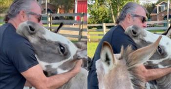 <p>Marengo, Ohio, is the home of one cuddling caretaker who sings &ldquo;Amazing Grace&rdquo; to a group of rescued donkeys!&nbsp;</p>

<p>Meet Dean Fagan. He and his wife Dawn own a <a href="https://abc6onyourside.com/news/local/family-411-empty-nesters-start-next-chapter-of-their-lives-by-rescuing-donkeys">67-acre donkey sanctuary,</a> where they&nbsp;love and love on several miniature donkeys, including Ivy, Mr. Donker Donks, and Riley, among others that have lived on their farm in the years since they began rescuing.&nbsp;&nbsp;</p>

<p>Watch as Dean serenades one of the herd, the donkey nuzzling up close to his neck. Three others surround Dean, too, as he sits straddling a large piece of corrugated pipe.&nbsp;</p>

<p>The setting is beautiful. Mature trees, wood fencing, a red outbuilding, and a lovely home surround the pasture where Dean and his donkeys are chillin&rsquo;. However, it&rsquo;s not the vista the burros care about; they&rsquo;re all about the patting, the petting, and the music!</p>

<p>Two other mokes hang out by the fence, and all of the gang must feel like they&rsquo;re in Heaven! Dean sings one of the most popular hymns that has ever been lifted Heavenward, but he doesn&rsquo;t get the lyrics just right. No matter! The words aren&rsquo;t nearly as important as the warmth Dean shows his donkeys as he sings.</p>

<p>Drew sings lots of songs for his four-legged friends. Among them is a <a href="https://abc7news.com/donkey-lullaby-jackass-junction-little-man-singing-to/6284852/">tune once recorded by Burt Bacharach</a> and &ldquo;<a href="https://www.youtube.com/watch?v=VwXu4rdPlEA">Somewhere Over the Rainbow</a>.&rdquo; Dean and Dawn&rsquo;s donkeys couldn&rsquo;t be more content!&nbsp;&nbsp;&nbsp;&nbsp;&nbsp;&nbsp;</p>

<p>When the Fagan kids grew up and left home, Dean and Dawn decided to try something new. Not quite ready for retirement and with the flexibility to work from home as recruiters for advertising executives, they decided to rescue their first donkey.&nbsp;</p>

<p>Dean told <a href="https://abc6onyourside.com/news/local/family-411-empty-nesters-start-next-chapter-of-their-lives-by-rescuing-donkeys">ABC6</a> in 2018, &ldquo;It just brings so much pleasure to Dawn and I. Our offices overlook the pasture where the donkeys are&hellip; We enjoy being around them and listening to them and seeing them run and play.&rdquo;&nbsp;</p>

<p>Good for you, Dean and Dawn, for figuring out a way to give and receive love every day! You make the world a better place!&nbsp;</p>

<p><em>&ldquo;Now this I know: The Lord gives victory to his anointed. He answers him from his heavenly sanctuary with the victorious power of his right hand.&rdquo; <a href="https://www.godtube.com/bible/psalms/20-6">Psalms 20:6</a></em></p>
