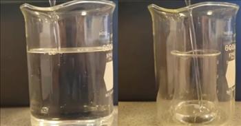 <p>For every magician&rsquo;s seemingly impossible trick, there is an explanation. The answer to the illusion probably involves some form of deception or sleight of hand. Things don&rsquo;t just disappear before our very eyes, right?</p>

<p><a href="https://www.youtube.com/watch?v=L-avd0nMeYw&amp;t=37s">One short YouTube</a> video shows a glass container disappearing right in front of us. The 30-second video begins with the camera focusing on the two glasses. In a rather large glass container sits a much smaller glass cup.</p>

<p><a href="https://www.youtube.com/watch?v=L-avd0nMeYw&amp;t=37s">Only seconds into the video</a>, someone starts pouring a very thick, clear oily substance into the smaller jar. The person continues pouring the substance, which the video states is vegetable oil, into the small container until it fills up, causing the excess to spill out and begin to fill the much larger container.</p>

<p>However, around the 10-second mark in the video, a very odd thing starts to happen. As it overflows out of the smaller container and now spills out into the bigger container, the vegetable oil begins to rise, and the smaller container seemingly disappears.</p>

<p>The vegetable oil is continually poured into the large container until the smaller container is entirely invisible. Amazing!</p>

<p>But if you thought it was just some fancy camera trick or some slick editing or something similar, think again!</p>

<p>At the 28-second mark, two fingers appear on the screen, reach down into the cup and pull out the smaller container even though it is no longer visible. The smaller glass container is still there!</p>

<p>How does this work?</p>

<p>The glass disappears as a result of the rate at which the light passes through the vegetable oil and the containers, according to the <a href="https://www.youtube.com/watch?v=L-avd0nMeYw&amp;t=37s">description accompanying the video</a>.&nbsp; As the video&rsquo;s description points out, the vegetable oil helps to slow down the light moving through the glass containers, which causes the glass container to &ldquo;disappear.&rdquo;</p>

<p><em><a href="https://www.godtube.com/bible/colossians/2-8">Colossians 2:8</a> &ldquo;Take care that no one takes you away by force, through man&rsquo;s wisdom and deceit, going after the beliefs of men and the theories of the world, and not after Christ.&rdquo;</em></p>

