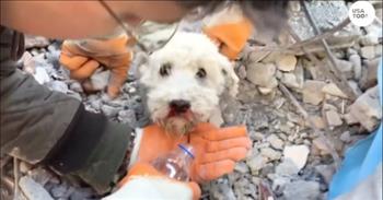 <p>Check out this video to see heroic workers in Turkey rescue a dog who had been trapped under rubble for 60 hours.</p>

<p>Turkey and the surrounding area have recently experienced horrific earthquakes that have caused tremendous damage. And the known death toll from the devastating earthquakes impacting Turkey and Syria has climbed to over 44,000.</p>

<p>Many videos have come out with people and animals being rescued from the rubble, and this video in particular, shows the rescue of a dog named Pambuk.</p>

<p>Pambuk was stuck in deep rubble for almost 60 hours after one of the deadly earthquakes brought the place where he was living to the ground. Pambuk&rsquo;s owner was injured in the earthquake and was taken to the intensive care unit at a local hospital.</p>

<p>While Pambuk&rsquo;s owner was away, the dog patiently waited to be rescued. Thank goodness these rescuers came along to save him!</p>

<p>In the video, you can see a handful of rescuers working to save the dog. While one person is petting the dog and trying to comfort it, others are tirelessly working to dig away the rubble to get the animal to safety.</p>

<p>Pambuk can be heard whimpering in pain during some points of the rescue, but he must also be so relieved to know that people are trying to set him free after being trapped under rubble for so long.</p>

<p>Thank the Lord for these brave rescuers who saved this dog&rsquo;s life! And after some tender love and care, Pambuk will be able to heal after such a traumatic event.</p>

<p>Our hearts and prayers go out to all those who have been affected by these devastating earthquakes. May the Lord be near and of great comfort to those walking through this hard time.</p>

<p><em><a href="https://www.godtube.com/bible/psalms/34-18">Psalm 34:18</a><br />
The Lord is close to the brokenhearted and saves those who are crushed in spirit.</em></p>
