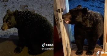 <p>&quot;Close the door, sweetie.&rdquo;&nbsp; Watch this incredible moment when a wild black bear closes a door on command. Mr. Bear has been visiting Susan Kehoe of New Jersey for quite some time. In fact, they seem to have a platonic relationship. I would be terrified Mr. Bear might decide to eat me but Susan seems to know him very well.&nbsp;</p>

<p>In a viral TikTok that has received more than four million views, Susan films her minute-long encounter with an unlikely visitor. Initially, she tells her viewers that it&rsquo;s snowing outside and then <a href="https://www.tiktok.com/@susankehoe1/video/7209077975340371243?embed_source=121331973%2C120811592%2C120810756%3Bnull%3Bembed_song_name&amp;refer=embed&amp;referer_url=www.sunnyskyz.com%2Fhappy-videos%2F12283%2FWild-Bear-Returns-In-The-Snow-To-Close-My-Door">suggests</a>, &ldquo;Let&rsquo;s see how much snow we have,&rdquo; as she opens the front door of her home.&nbsp;</p>

<p>Shockingly, Mr. Bear is standing on the front porch. I&rsquo;m pretty sure I would&rsquo;ve had a heart attack. But Susan is relaxed and happy to see Mr. Bear. She then <a href="https://www.tiktok.com/@susankehoe1/video/7209077975340371243?embed_source=121331973%2C120811592%2C120810756%3Bnull%3Bembed_song_name&amp;refer=embed&amp;referer_url=www.sunnyskyz.com%2Fhappy-videos%2F12283%2FWild-Bear-Returns-In-The-Snow-To-Close-My-Door">comments</a>, &ldquo;Not only do we have snow, we have a bear,&rdquo; as if it&rsquo;s a normal occurrence before <a href="https://www.tiktok.com/@susankehoe1/video/7209077975340371243?embed_source=121331973%2C120811592%2C120810756%3Bnull%3Bembed_song_name&amp;refer=embed&amp;referer_url=www.sunnyskyz.com%2Fhappy-videos%2F12283%2FWild-Bear-Returns-In-The-Snow-To-Close-My-Door">telling</a> the bear, &ldquo;Mr. Bear, look at the snow on you.&rdquo;</p>

<p>Eventually, Mr. Bear decides it&rsquo;s time to call it a night after his friendly visit. But this is where the video takes a shocking turn. Susan calls out to Mr. Bear as he&rsquo;s wandering off. She <a href="https://www.tiktok.com/@susankehoe1/video/7209077975340371243?embed_source=121331973%2C120811592%2C120810756%3Bnull%3Bembed_song_name&amp;refer=embed&amp;referer_url=www.sunnyskyz.com%2Fhappy-videos%2F12283%2FWild-Bear-Returns-In-The-Snow-To-Close-My-Door">says</a>,&nbsp; &ldquo;Hey Hon, come here. Before you go you have to do me a favor, close the door.&rdquo;&nbsp;</p>

<p>Mr. Bear wanders up the porch and steps inside on her wooden floor before he grabs the front doorknob with his mouth. As the door creaks, Mr. Bear almost gets the door closed when Susan <a href="https://www.tiktok.com/@susankehoe1/video/7209077975340371243?embed_source=121331973%2C120811592%2C120810756%3Bnull%3Bembed_song_name&amp;refer=embed&amp;referer_url=www.sunnyskyz.com%2Fhappy-videos%2F12283%2FWild-Bear-Returns-In-The-Snow-To-Close-My-Door">says</a>, &ldquo;What a good boy. I love you.&rdquo;&nbsp;</p>

<p>Apparently, Mr. Bear has manners, and we just witnessed a wild bear closing a door on command. Are you just as flabbergasted as I am? I can&rsquo;t believe what I just witnessed with my own eyes! If you still can&rsquo;t believe what you just witnessed, you can go over to Susan&rsquo;s <a href="https://www.youtube.com/watch?v=pUZBcAuXvTg">YouTube</a> channel and watch a mother bear swinging in a hammock.&nbsp;</p>

<p>As with all wildlife, respect and distancing yourself is key to survival. May Susan&rsquo;s video of Mr. Bear be a reminder that one day in heaven, we will get to walk among lions, wolves,&nbsp; and bears without fear.&nbsp;</p>

<p><em>&ldquo;The wolf will live with the lamb, the leopard will lie down with the goat, the calf and the lion and the yearling together; and a little child will lead them,&rdquo; <a href="https://www.godtube.com/bible/isaiah/11-6">Isaiah 11:6</a>.</em></p>
