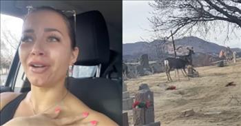 <p>Watch this emotional moment when a woman sees a sign from God at her boyfriend&rsquo;s grave. This woman&rsquo;s boyfriend passed away in 2018. She went to visit his grave when deer were grazing on the grass by her boyfriend&rsquo;s grave.&nbsp;</p>

<p>While this may not seem like a miracle to you, it is for this woman. Through her tears, she said, &ldquo;I love deer. They&rsquo;re a symbolic animal to me.&rdquo; She then added, &ldquo;This is literally God. I was praying, &lsquo;Dear God, please let him know that he was loved, and I think this is something I needed today.&rdquo;&nbsp;</p>

<p>Isn&rsquo;t that so true? God will give us little signs to remind us he is present in our circumstances. Whether it&rsquo;s a moment when you need grace, comfort, or solace, he reminds us He is with us.&nbsp;</p>

<p>If we keep our faith focused on Him, God will regularly communicate with us as a quiet whisper in our hearts. In the Good Book, God constantly sent signs through messengers, like Elijah, Jonah, Jacob, John The Baptist, and Jesus Christ.&nbsp;</p>

<p>He also used his creation, like birds, to feed Elijah or the donkey to Balaam. God even communicated with animals in the story of Noah to lead them aboard the ark.&nbsp;</p>

<p>I pray this woman&rsquo;s heart will forever be touched by this moment as a reminder God was with her in her pain and loss. What a beautiful moment in spite of tragic circumstances.&nbsp;</p>

<p><em>&ldquo;Are not two sparrows sold for a penny? Yet not one of them will fall to the ground outside your Father&rsquo;s care. And even the very hairs of your head are all numbered. So don&rsquo;t be afraid; you are worth more than many sparrows,&rdquo; <a href="https://www.godtube.com/bible/matthew/10-29">Matthew 10:29-31</a>.&nbsp;</em></p>
