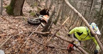 <p>In this jaw-dropping video a quick-thinking rider scares off a charging bear.&nbsp;</p>

<p>Scripture tells us wisdom is better than gold. In this case, wisdom was life-saving. What was supposed to be a great day of riding the trails turned wildly bearish!&nbsp;</p>

<p>When defending yourself from a brown bear, the best advice is to use what is on hand. It could be bear spray, a gun, or making loud noises. But what if you happen to be out riding the trails with your pals, and the only thing you have is your motorbike?</p>

<p>In this short clip that was posted to YouTube, it shows what happens after a rider in Bulgaria wrecks his dirtbike near a bear den. The rider jumps up just as a bear emerges from its den and goes after the stranded rider, who scrambles away from the supremely irked bear.&nbsp;</p>

<p>Apparently, they had disturbed the peace and its home. The bear roars and closes in on the rider as his pals watch the hairy situation unfold. The only thing his friend can do is rev his engine as loudly as possible to startle the bear.&nbsp;</p>

<p>The quick thinking of his friend and the sound of the engine revving likely made the difference between a close call and a bear attack. The startled bear quickly spins away and runs off as the rider revs his engine a few more times just for good measure.&nbsp;</p>

<p>Most <a href="https://www.bearbiology.org/about/safety-in-bear-country/">experts</a> agree making loud noises in bear country can often act as a bear deterrent and alert bears to your presence. In the case of this video, the man was blessed with this life thanks to the quick thinking of his friend. Praise God, it was a close call instead of a bear attack!&nbsp;</p>

<p><em>&ldquo;Who is wise and understanding among you? Let them show it by their good life, by deeds done in the humility that comes from wisdom,&rdquo; <a href="https://www.godtube.com/bible/james/3-13#:~:text=With%20meekness%20of%20wisdom%20%2D%20With,men%20would%20become%20public%20teachers.">James 3:13</a>.&nbsp;</em></p>
