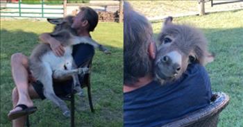 <p>A man sings &lsquo;Somewhere Over The Rainbow&rsquo; to a rescued baby donkey cuddled in his lap. We don&rsquo;t know much about the little gal in Dean Fagan&rsquo;s lap but we do know this little lady by the name of Ivy is living her best life in Dean and Dawn&rsquo;s donkey sanctuary.&nbsp;</p>

<p>In this viral TikTok clip, Dean can be seen sitting in a chair and cuddling a newly rescued donkey Ivy in his lap. As he provides all the comfort a child would want, he strokes her mane and begins to softly sing one of our favorite childhood songs, &lsquo;Somewhere Over The Rainbow.&rsquo; The best part is when he comes to the chorus line and changes the lyrics just for his sweet new friend, &ldquo;Somewhere over the rainbow, way up high. There's a donkey land that I heard of. Once in a lullaby.&rdquo;&nbsp;</p>

<p>Ivy is in absolute heaven. She adores Dean, and she is soaking up every bit of love he is giving her. It is so sweet and adorable to watch.&nbsp;&nbsp;</p>

<p>When Dean and Dawn became empty nesters, they wanted to dedicate their free time to something that truly mattered. It all started with their first <a href="https://abc6onyourside.com/news/local/family-411-empty-nesters-start-next-chapter-of-their-lives-by-rescuing-donkeys">rescue</a> named Mister Donker Donks they brought to their 67-acre farm in Ohio. They fell in love with Mister Donker Donks and started a sanctuary for donkeys. They currently have seven more.&nbsp;</p>

<p>They treat their donkeys like a beloved member of the family. When most people think of animal rescue, they think of dogs or cats, perhaps even a bird rescue. I doubt anyone would think of farm animals. What&rsquo;s more, is how Dean and Dawn truly treat their rescue donkeys like a member of the family. They spend as much time as they can with them to get them socialized. Praise God for compassionate individuals like Dean and Dawn. When God created the world, he gave us the responsibility to take care of it&ndash;all animals included. This is a precious example of heeding God&rsquo;s word.&nbsp;</p>

<p>Check out the touching video below, and be ready for your heart to melt.&nbsp;</p>
